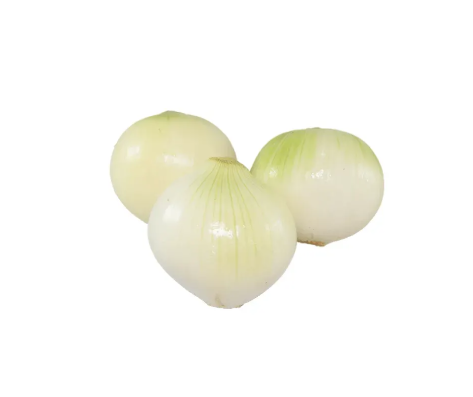 Cebolla cabezona fresca