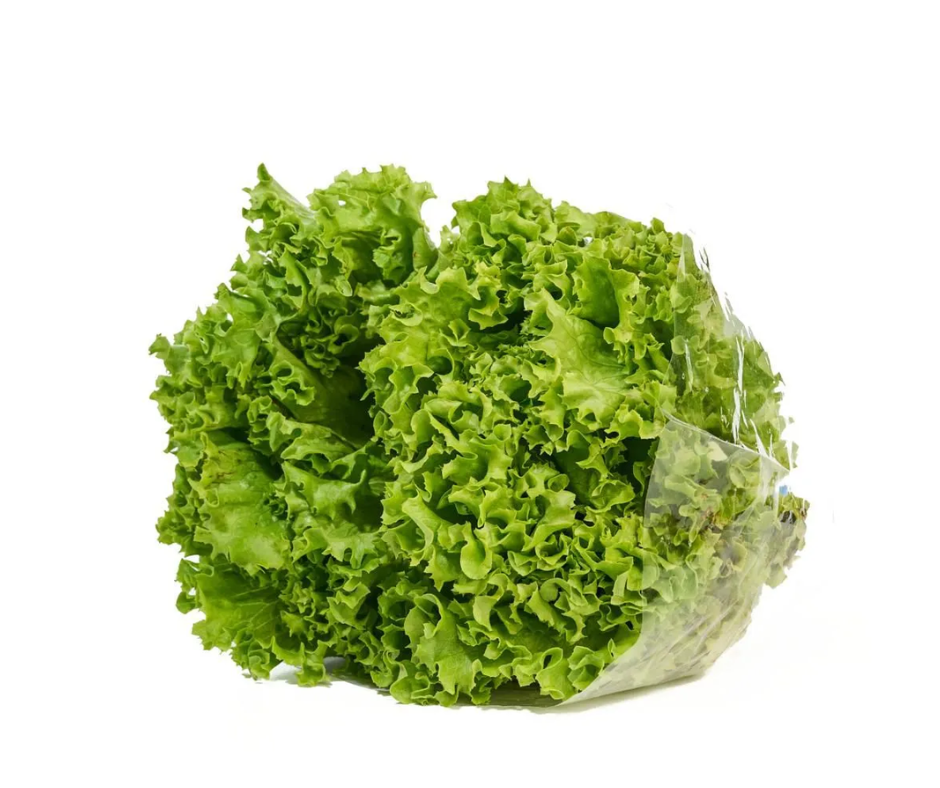 Lechuga crespa verde fresca