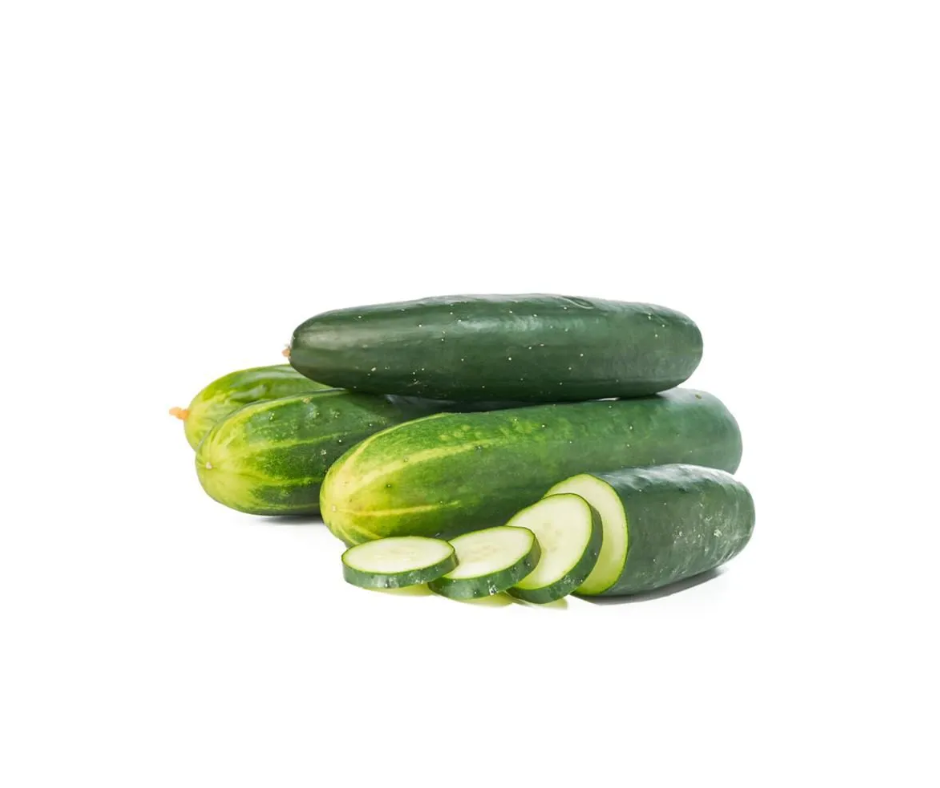 Pepino cohombro fresco de cultivo campesino